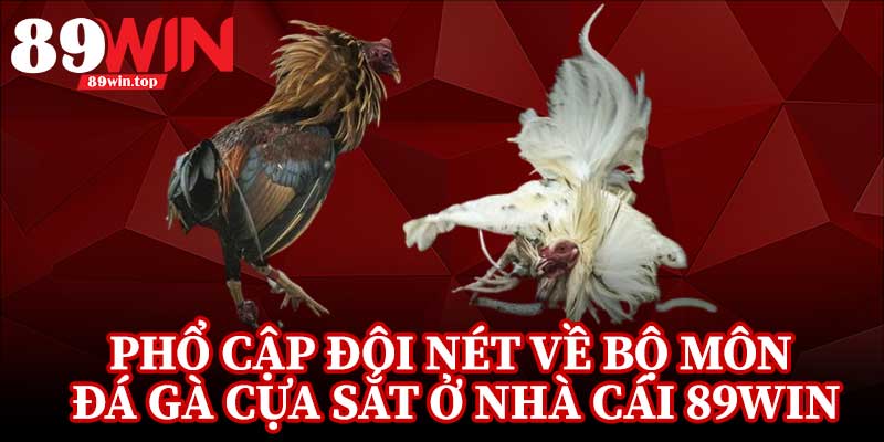 Đá Gà Cựa Sắt 89WIN - Điểm Đến Của Những Người Đam Mê Đá Gà - huxio