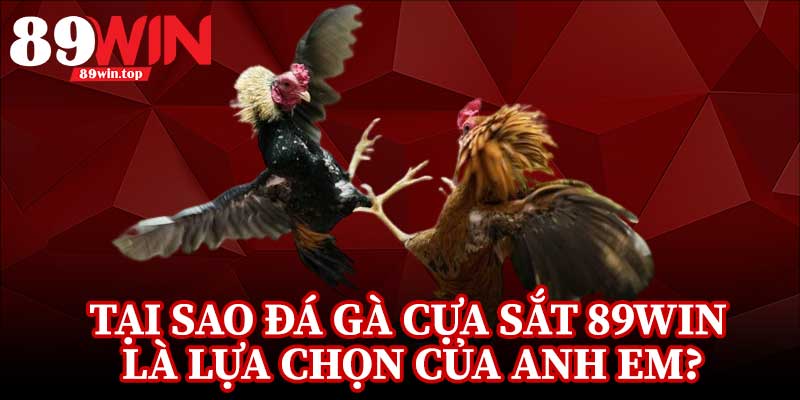 Đá Gà Cựa Sắt 89WIN - Điểm Đến Của Những Người Đam Mê Đá Gà - huxio