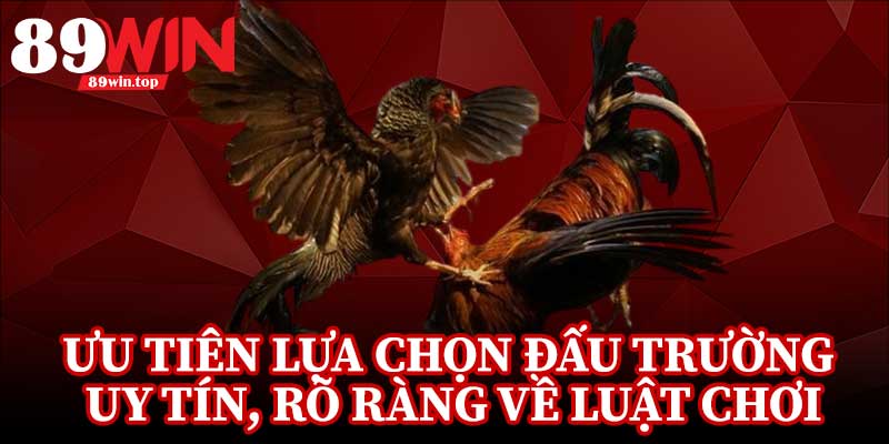 Đá Gà Cựa Sắt 89WIN - Điểm Đến Của Những Người Đam Mê Đá Gà - huxio