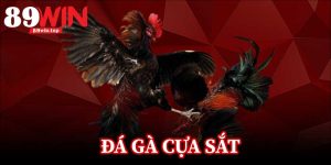 TIN TỨC - 89win - huxio